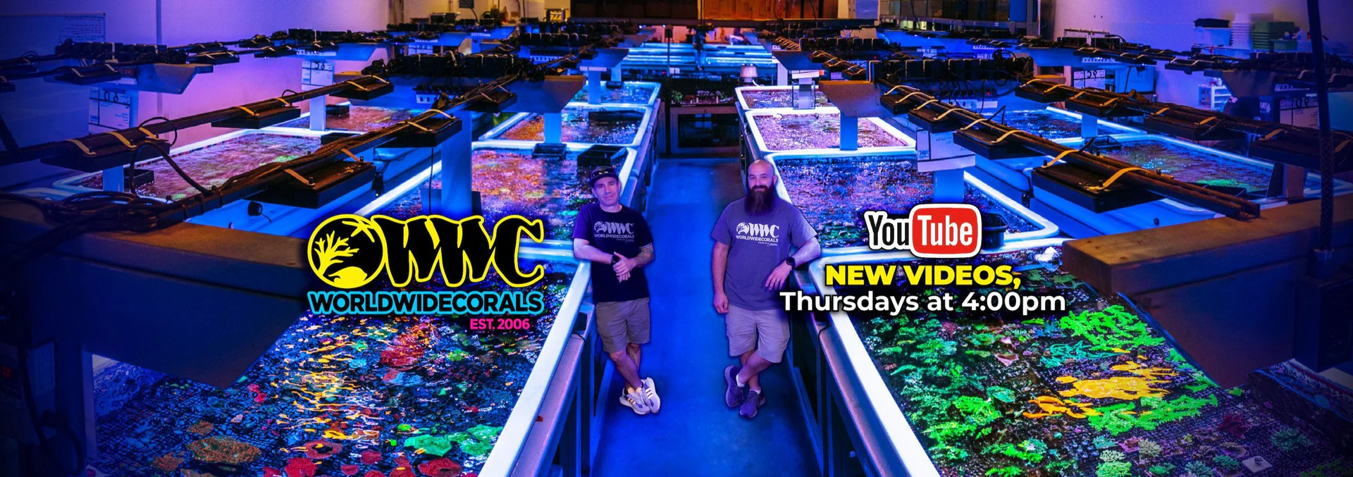 Vibrant Reefs Delivered To You